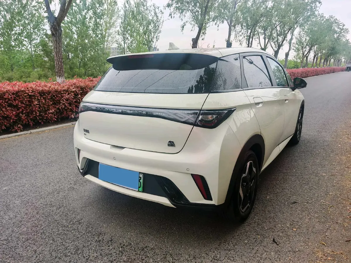 2023 BYD Dolphin BEV 44.928KWH,autocango,china used car exporter,china ev exporter,chinese used car exporter,chinese used ev exporter