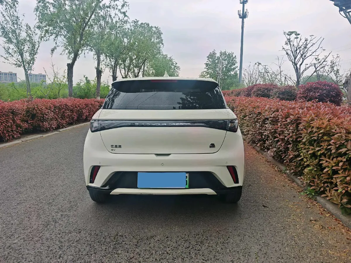 2023 BYD Dolphin BEV 44.928KWH,autocango,china used car exporter,china ev exporter,chinese used car exporter,chinese used ev exporter