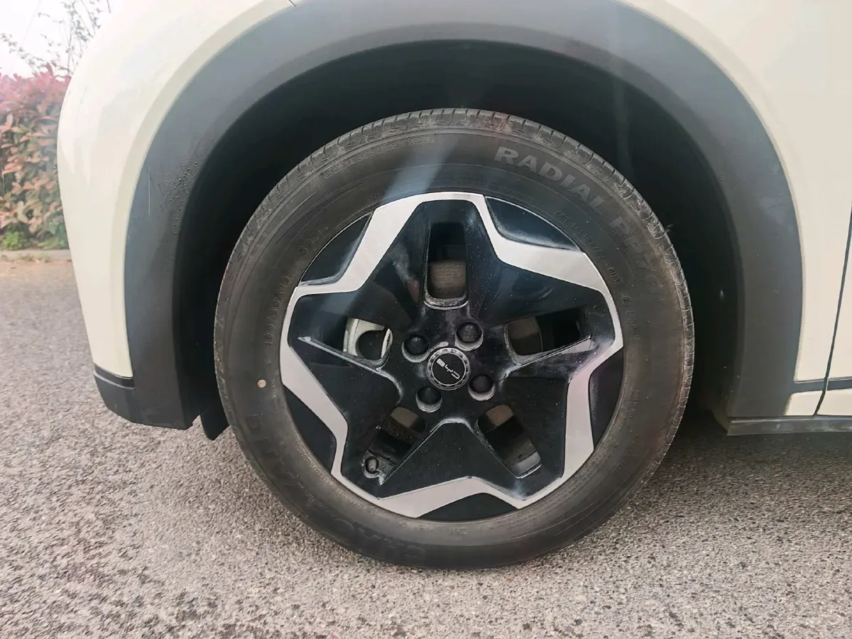 2023 BYD Dolphin BEV 44.928KWH,autocango,china used car exporter,china ev exporter,chinese used car exporter,chinese used ev exporter