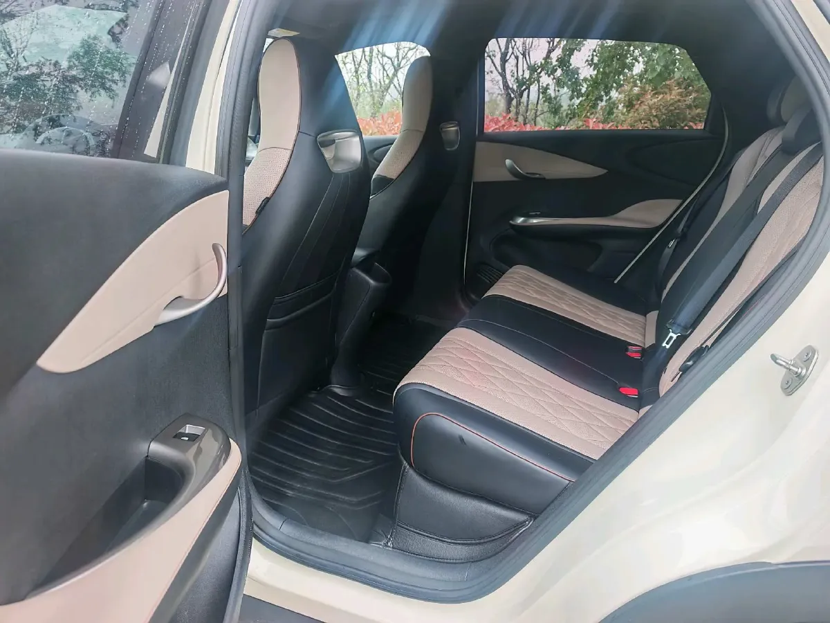 2023 BYD Dolphin BEV 44.928KWH,autocango,china used car exporter,china ev exporter,chinese used car exporter,chinese used ev exporter