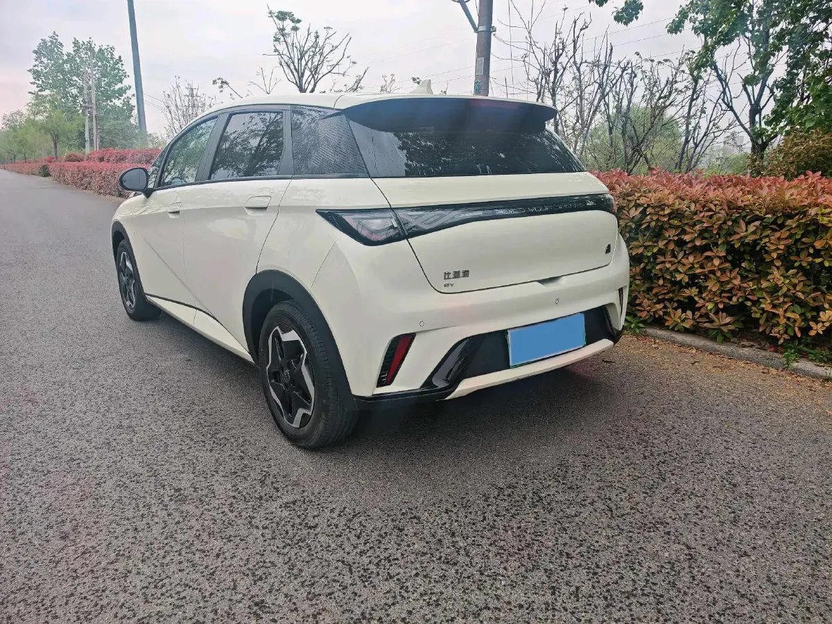 2023 BYD Dolphin BEV 44.928KWH,autocango,china used car exporter,china ev exporter,chinese used car exporter,chinese used ev exporter