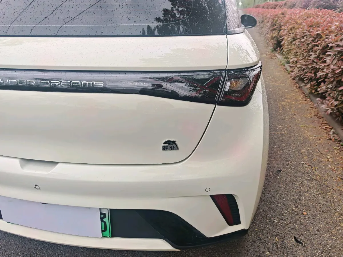 2023 BYD Dolphin BEV 44.928KWH,autocango,china used car exporter,china ev exporter,chinese used car exporter,chinese used ev exporter