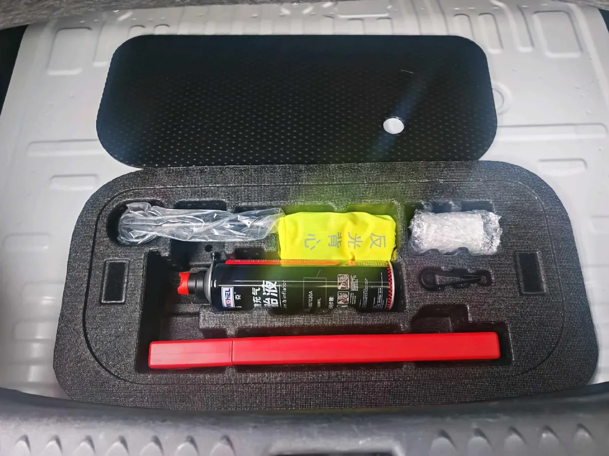 2023 BYD Dolphin BEV 44.928KWH,autocango,china used car exporter,china ev exporter,chinese used car exporter,chinese used ev exporter