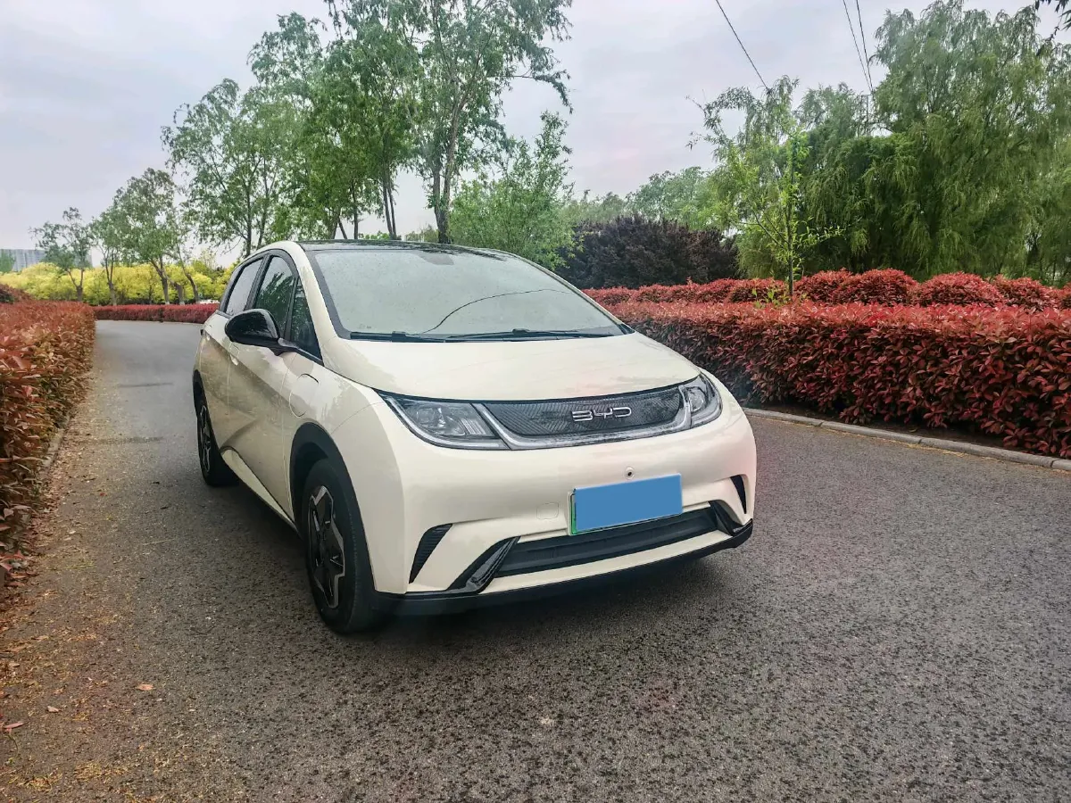 2023 BYD Dolphin BEV 44.928KWH,autocango,china used car exporter,china ev exporter,chinese used car exporter,chinese used ev exporter