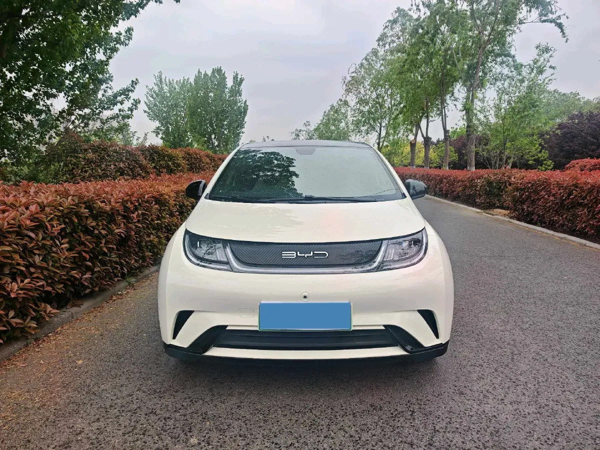 2023 BYD Dolphin BEV 44.928KWH,autocango,china used car exporter,china ev exporter,chinese used car exporter,chinese used ev exporter