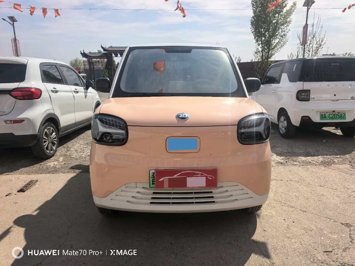 2024 ZD Rainbow BEV 17.3KWH,autocango,china used car exporter,china ev exporter,chinese used car exporter,chinese used ev exporter