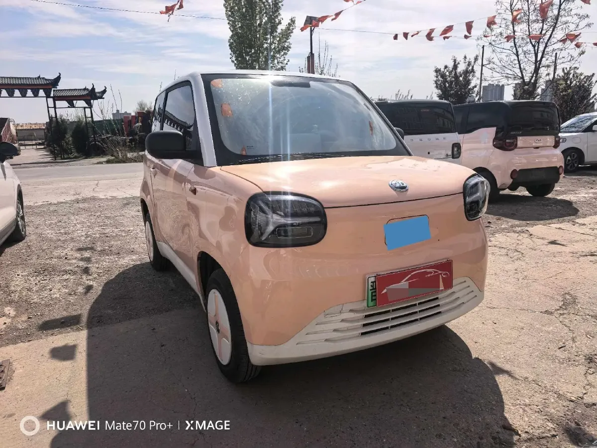 2024 ZD Rainbow BEV 17.3KWH,autocango,china used car exporter,china ev exporter,chinese used car exporter,chinese used ev exporter