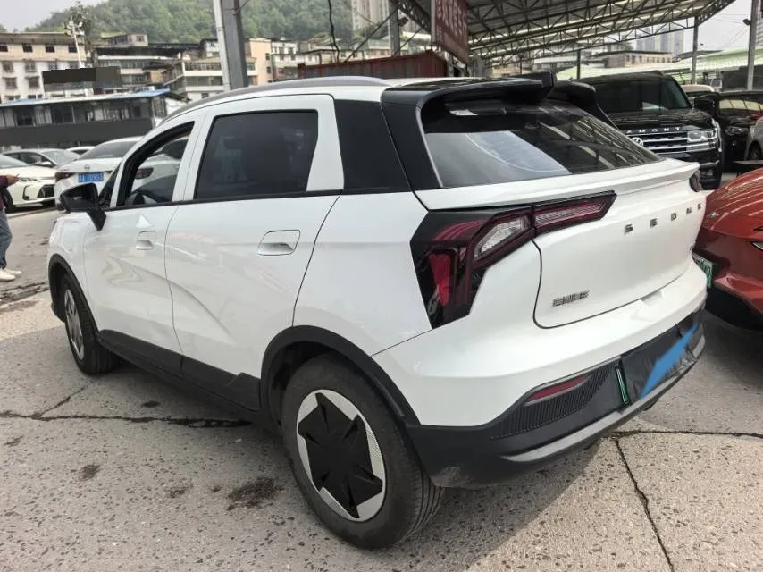2024 Geometry E BEV 29.67KWH,autocango,china used car exporter,china ev exporter,chinese used car exporter,chinese used ev exporter