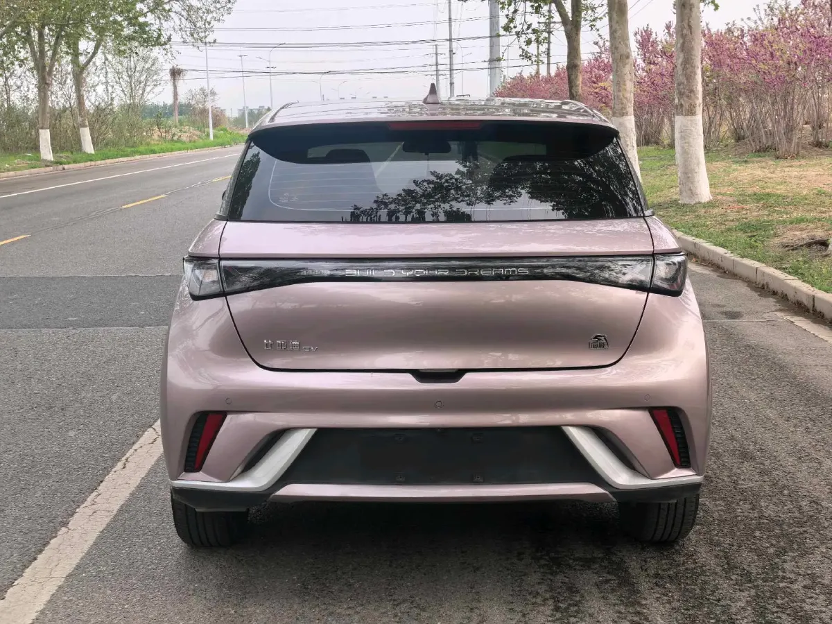 2021 BYD Yuan Pro BEV 50.1KWH,autocango,china used car exporter,china ev exporter,chinese used car exporter,chinese used ev exporter