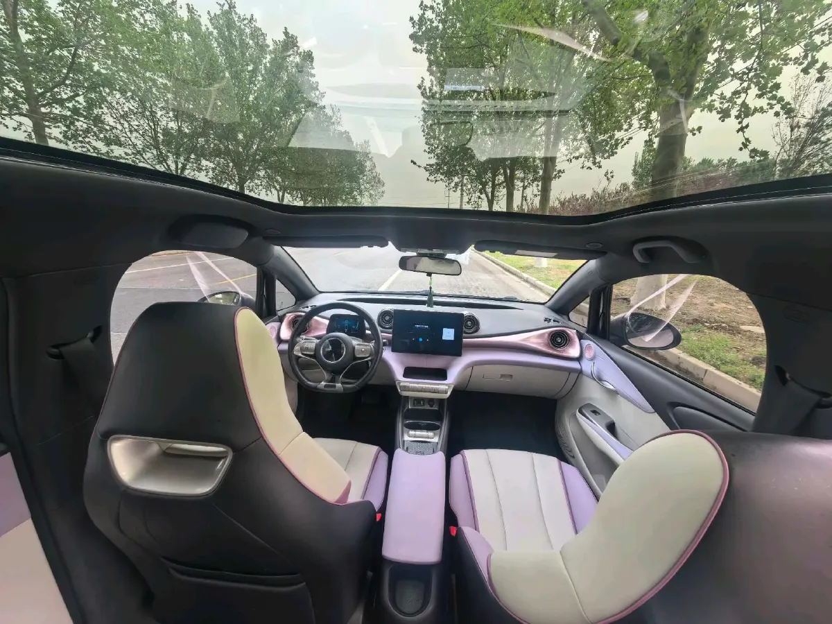 2021 BYD Yuan Pro BEV 50.1KWH,autocango,china used car exporter,china ev exporter,chinese used car exporter,chinese used ev exporter