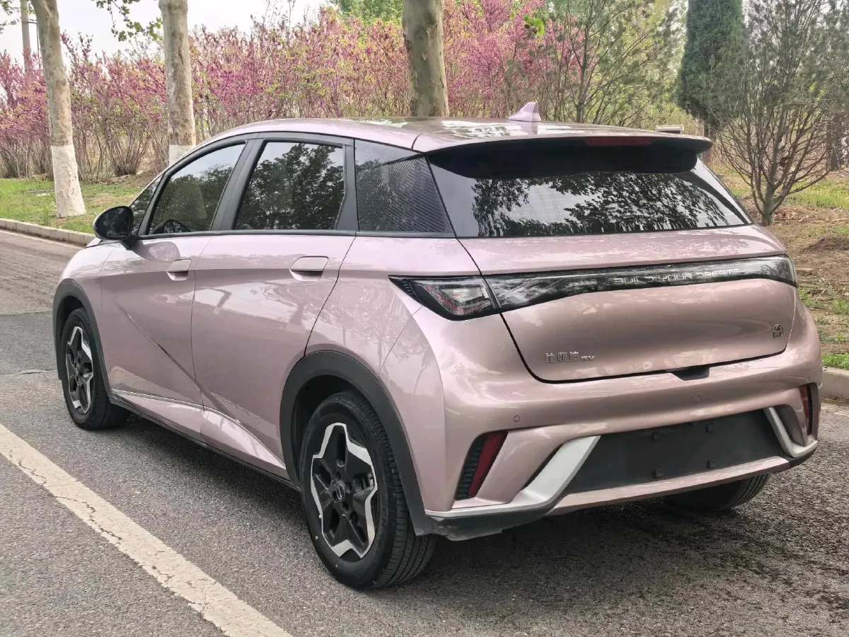 2021 BYD Yuan Pro BEV 50.1KWH,autocango,china used car exporter,china ev exporter,chinese used car exporter,chinese used ev exporter