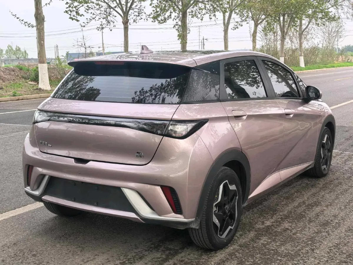 2021 BYD Yuan Pro BEV 50.1KWH,autocango,china used car exporter,china ev exporter,chinese used car exporter,chinese used ev exporter