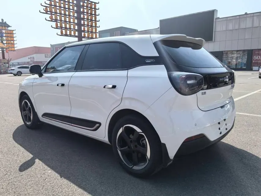2024 DongFeng Nammi 01 BEV 42.3KWH,autocango,china used car exporter,china ev exporter,chinese used car exporter,chinese used ev exporter