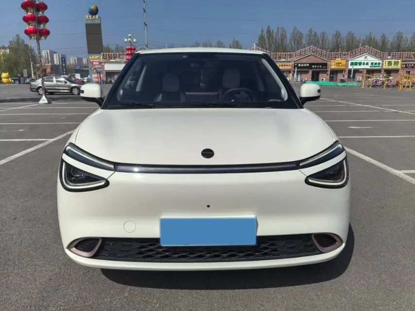 2024 DongFeng Nammi 01 BEV 42.3KWH,autocango,china used car exporter,china ev exporter,chinese used car exporter,chinese used ev exporter