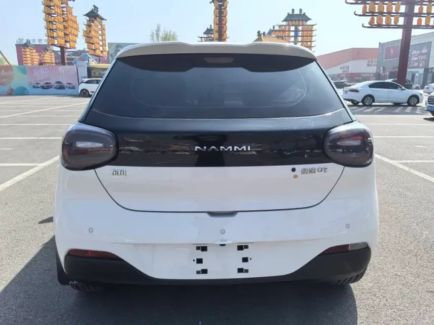 2024 DongFeng Nammi 01 BEV 42.3KWH,autocango,china used car exporter,china ev exporter,chinese used car exporter,chinese used ev exporter