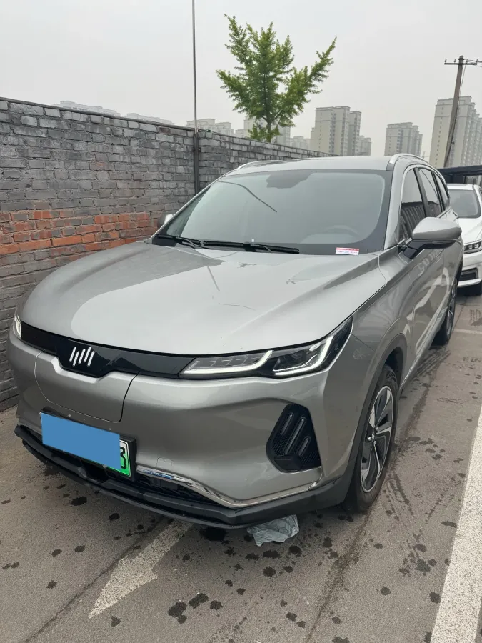 2020 Weltmeister EX6 BEV 54KWH,autocango,china used car exporter,china ev exporter,chinese used car exporter,chinese used ev exporter