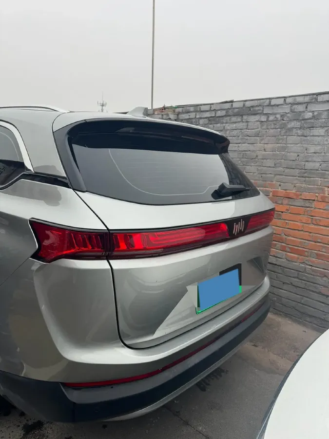 2020 Weltmeister EX6 BEV 54KWH,autocango,china used car exporter,china ev exporter,chinese used car exporter,chinese used ev exporter