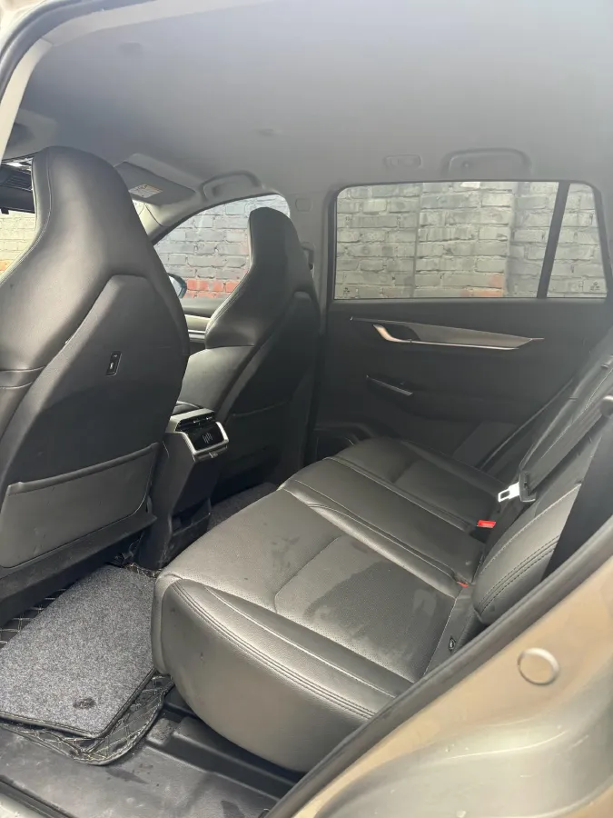 2020 Weltmeister EX6 BEV 54KWH,autocango,china used car exporter,china ev exporter,chinese used car exporter,chinese used ev exporter