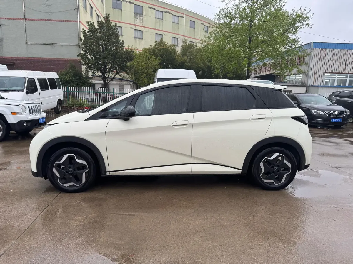2025 BYD Dolphin BEV 44.928KWH,autocango,china used car exporter,china ev exporter,chinese used car exporter,chinese used ev exporter