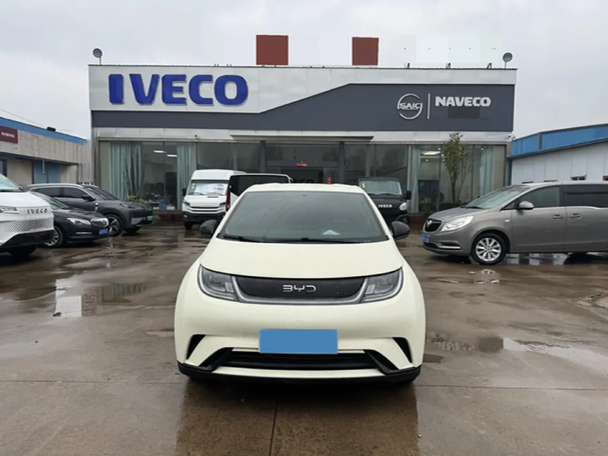2025 BYD Dolphin BEV 44.928KWH,autocango,china used car exporter,china ev exporter,chinese used car exporter,chinese used ev exporter