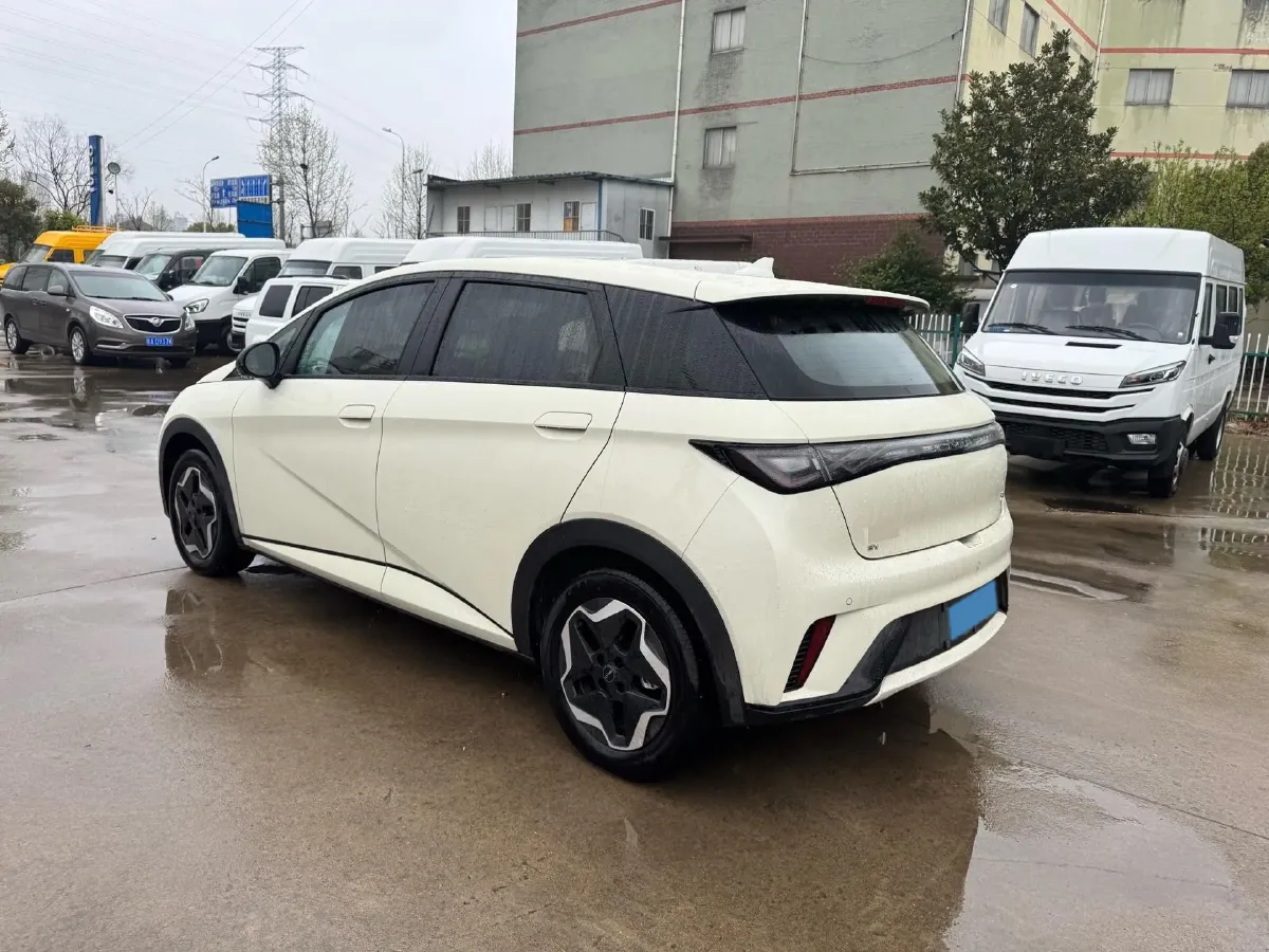2025 BYD Dolphin BEV 44.928KWH,autocango,china used car exporter,china ev exporter,chinese used car exporter,chinese used ev exporter