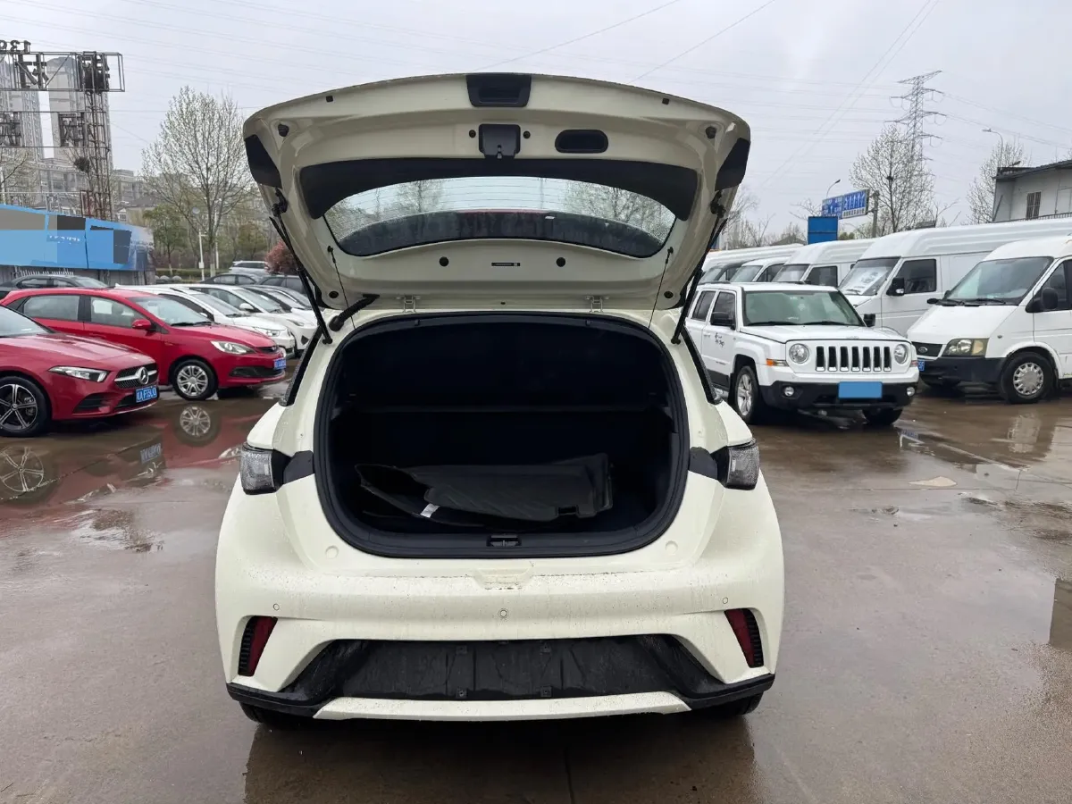 2025 BYD Dolphin BEV 44.928KWH,autocango,china used car exporter,china ev exporter,chinese used car exporter,chinese used ev exporter