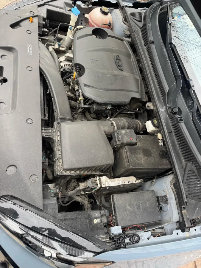 2024 Geely Binray 1.5T 181HP L4 7DCT,autocango,china used car exporter,china ev exporter,chinese used car exporter,chinese used ev exporter