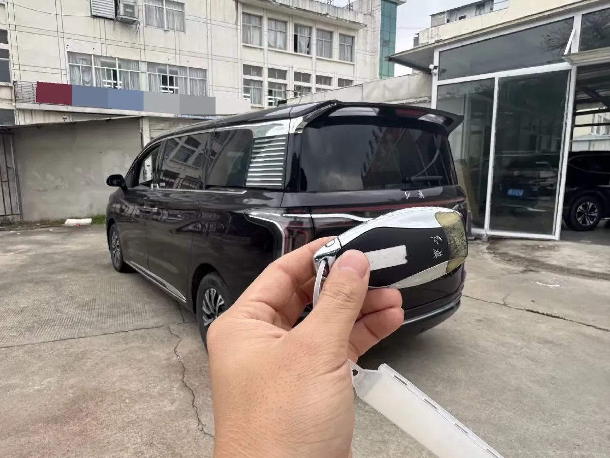 2024 HongQi HQ9 2.0T 163HP L4 1DHT PHEV 20.14KWH,autocango,china used car exporter,china ev exporter,chinese used car exporter,chinese used ev exporter
