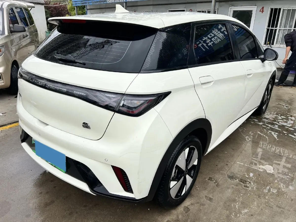 2023 BYD Dolphin BEV 44.928KWH,autocango,china used car exporter,china ev exporter,chinese used car exporter,chinese used ev exporter