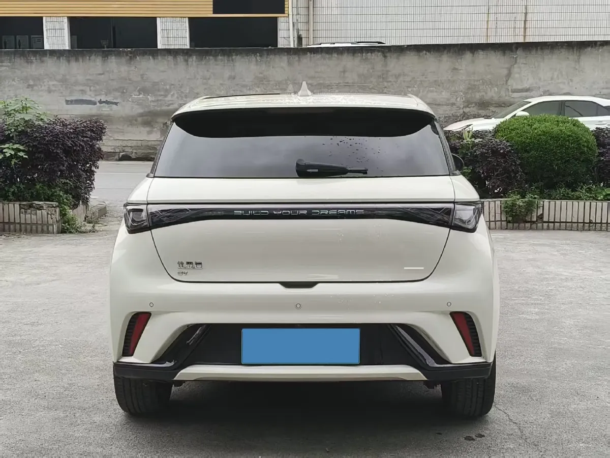 2024 BYD Dolphin BEV 44.928KWH,autocango,china used car exporter,china ev exporter,chinese used car exporter,chinese used ev exporter