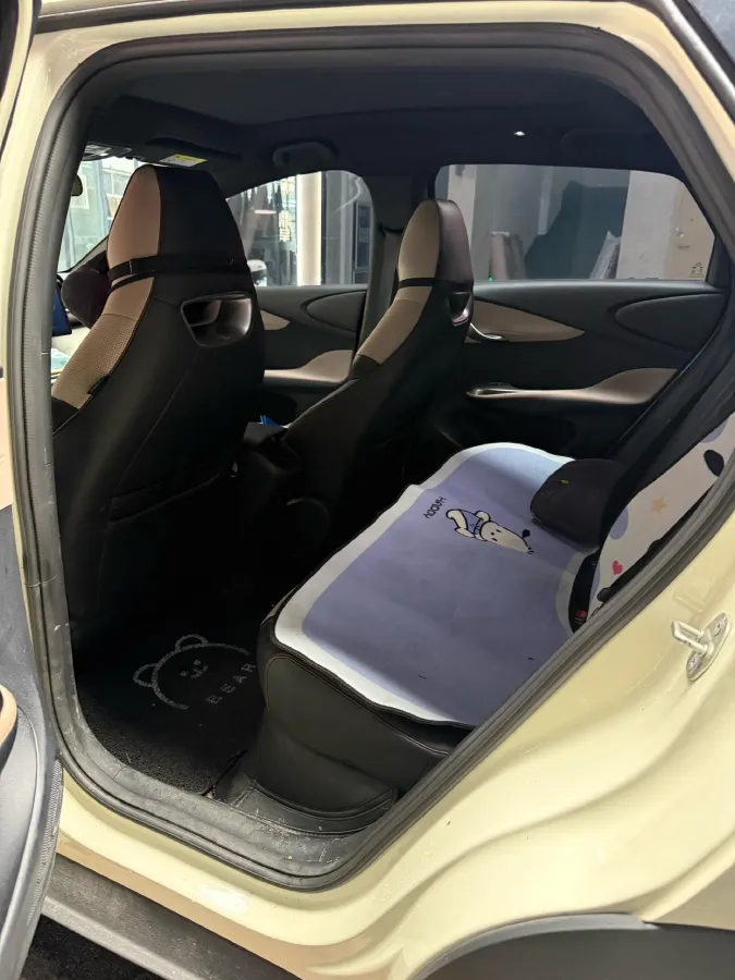 2023 BYD Dolphin BEV 44.928KWH,autocango,china used car exporter,china ev exporter,chinese used car exporter,chinese used ev exporter