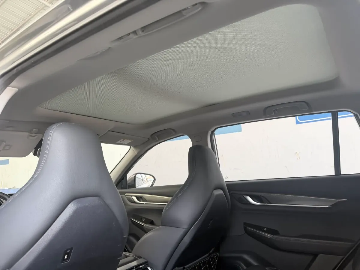 2020 Weltmeister EX6 BEV 69KWH,autocango,china used car exporter,china ev exporter,chinese used car exporter,chinese used ev exporter