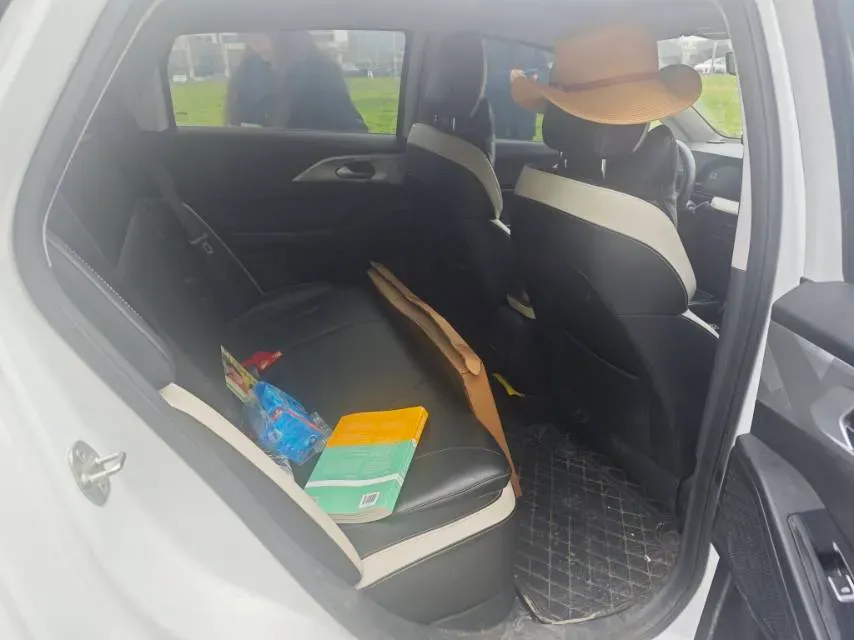 2022 Geometry E BEV 39.4KWH,autocango,china used car exporter,china ev exporter,chinese used car exporter,chinese used ev exporter