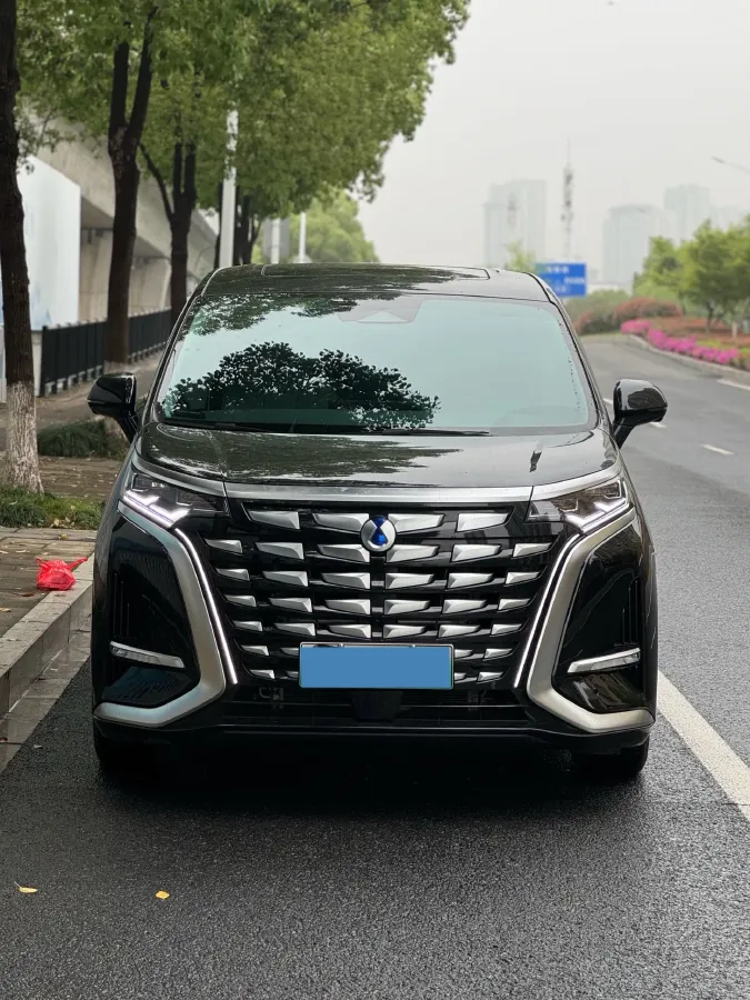 2024 Denza D9 1.5T 139HP L4 E-CVT PHEV 20.39KWH,autocango,china used car exporter,china ev exporter,chinese used car exporter,chinese used ev exporter