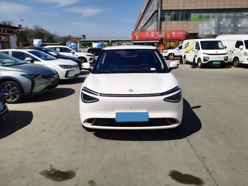 2024 DongFeng Nammi 01 BEV 42.3KWH,autocango,china used car exporter,china ev exporter,chinese used car exporter,chinese used ev exporter
