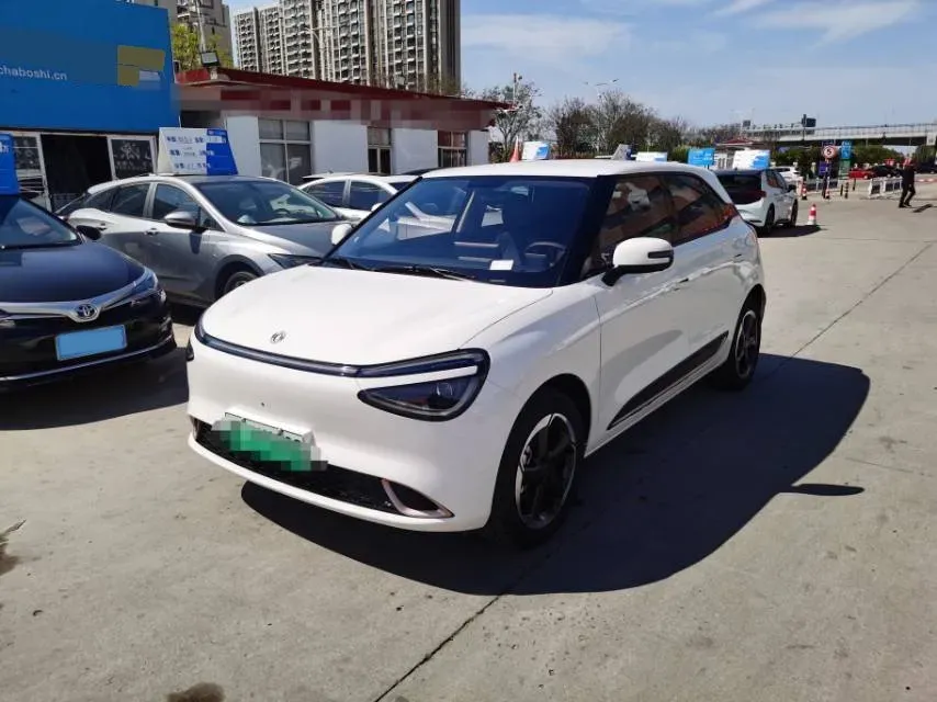 2024 DongFeng Nammi 01 BEV 42.3KWH,autocango,china used car exporter,china ev exporter,chinese used car exporter,chinese used ev exporter