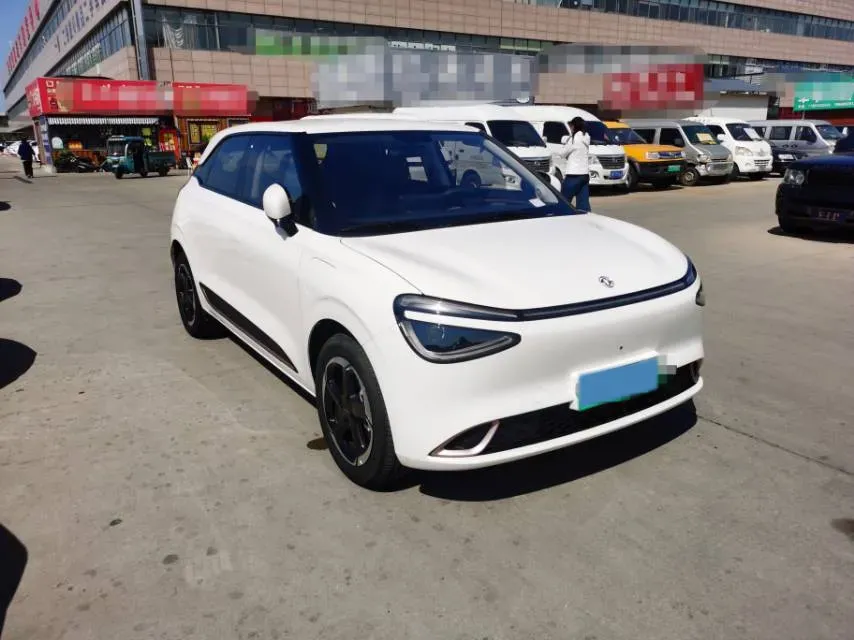 2024 DongFeng Nammi 01 BEV 42.3KWH,autocango,china used car exporter,china ev exporter,chinese used car exporter,chinese used ev exporter
