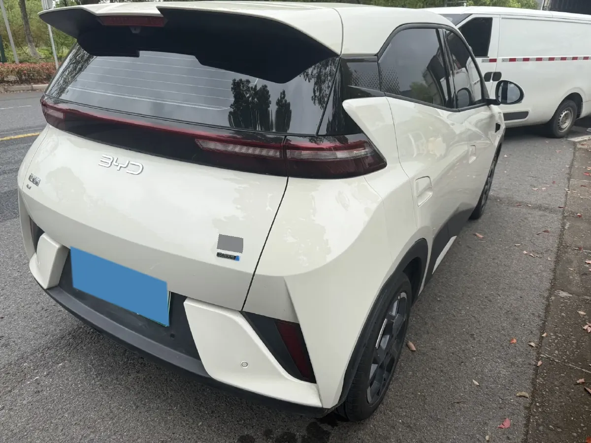 2025 BYD Seagull BEV 30.08KWH,autocango,china used car exporter,china ev exporter,chinese used car exporter,chinese used ev exporter