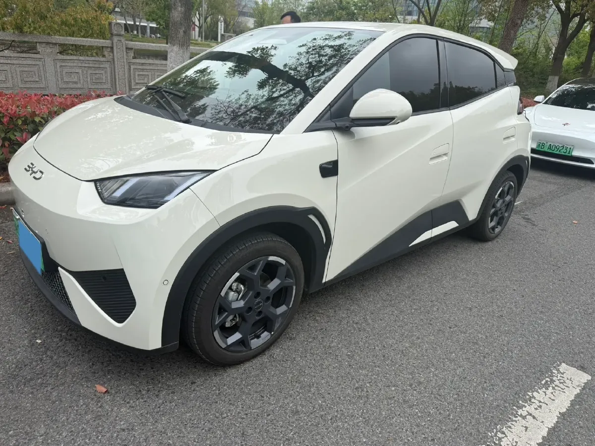 2025 BYD Seagull BEV 30.08KWH,autocango,china used car exporter,china ev exporter,chinese used car exporter,chinese used ev exporter