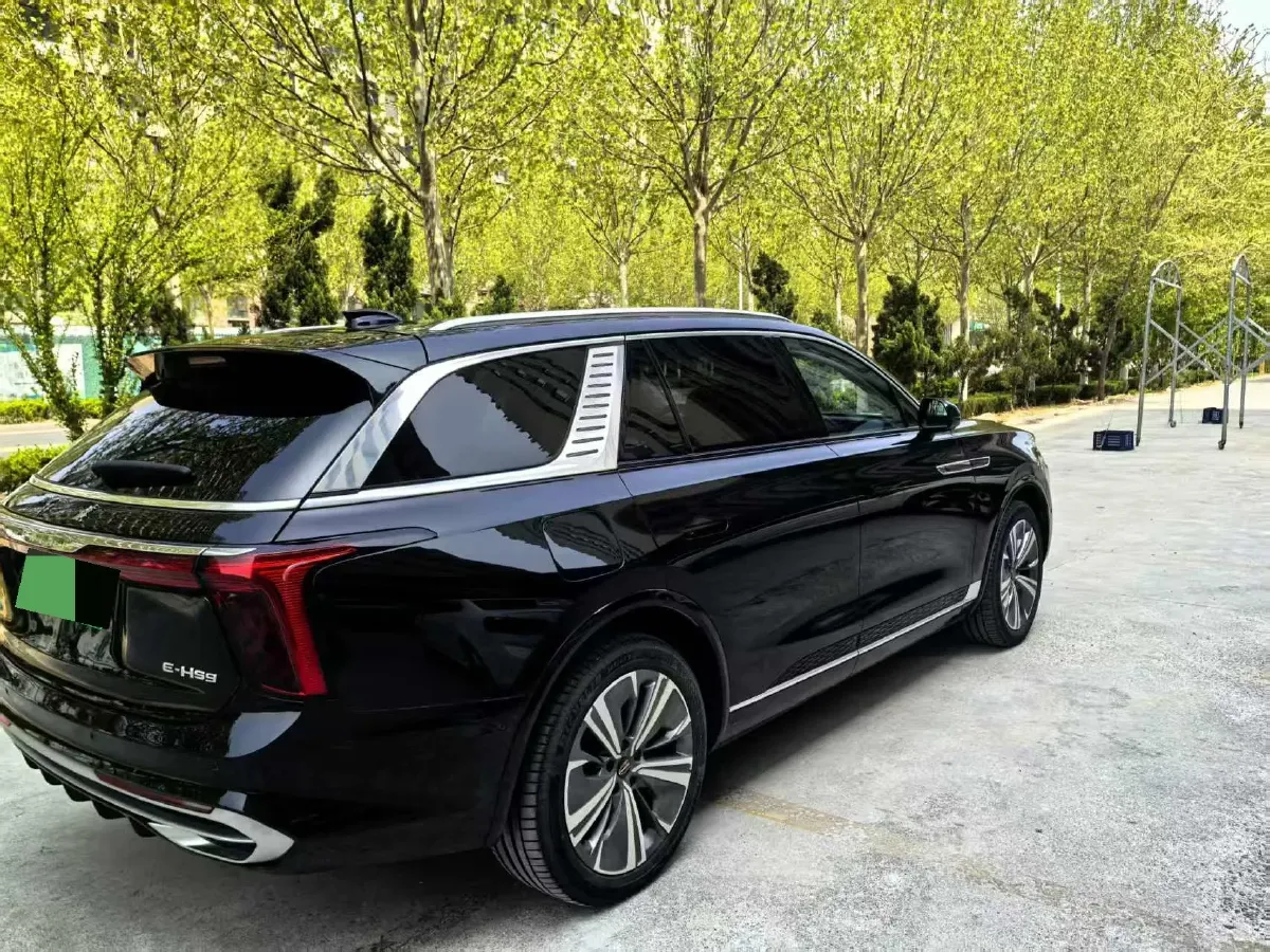 2021 HongQi E-HS9 BEV 84KWH,autocango,china used car exporter,china ev exporter,chinese used car exporter,chinese used ev exporter