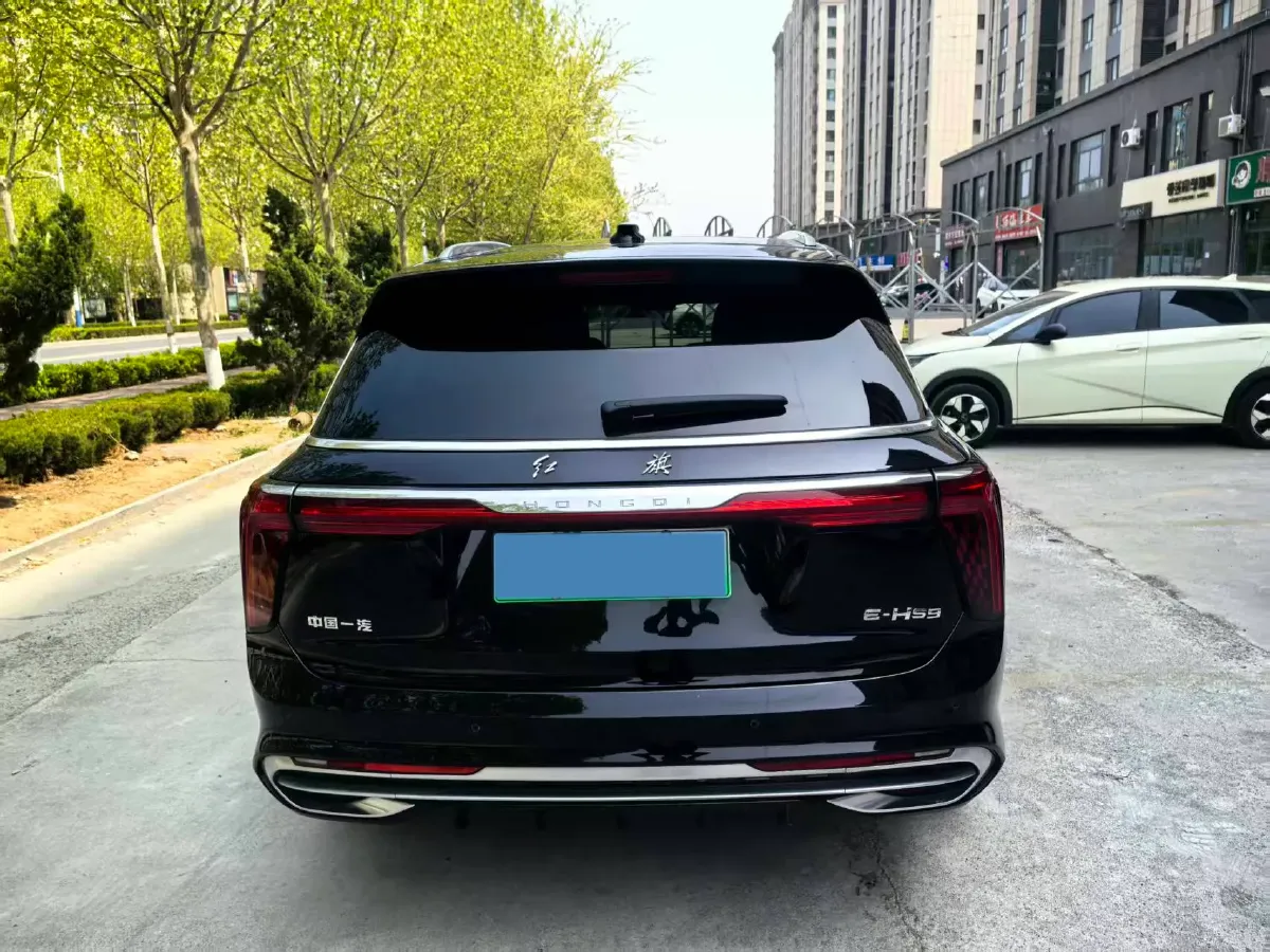 2021 HongQi E-HS9 BEV 84KWH,autocango,china used car exporter,china ev exporter,chinese used car exporter,chinese used ev exporter