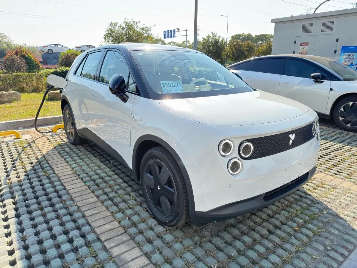2025 Firefly Firefly BEV,autocango,china used car exporter,china ev exporter,chinese used car exporter,chinese used ev exporter