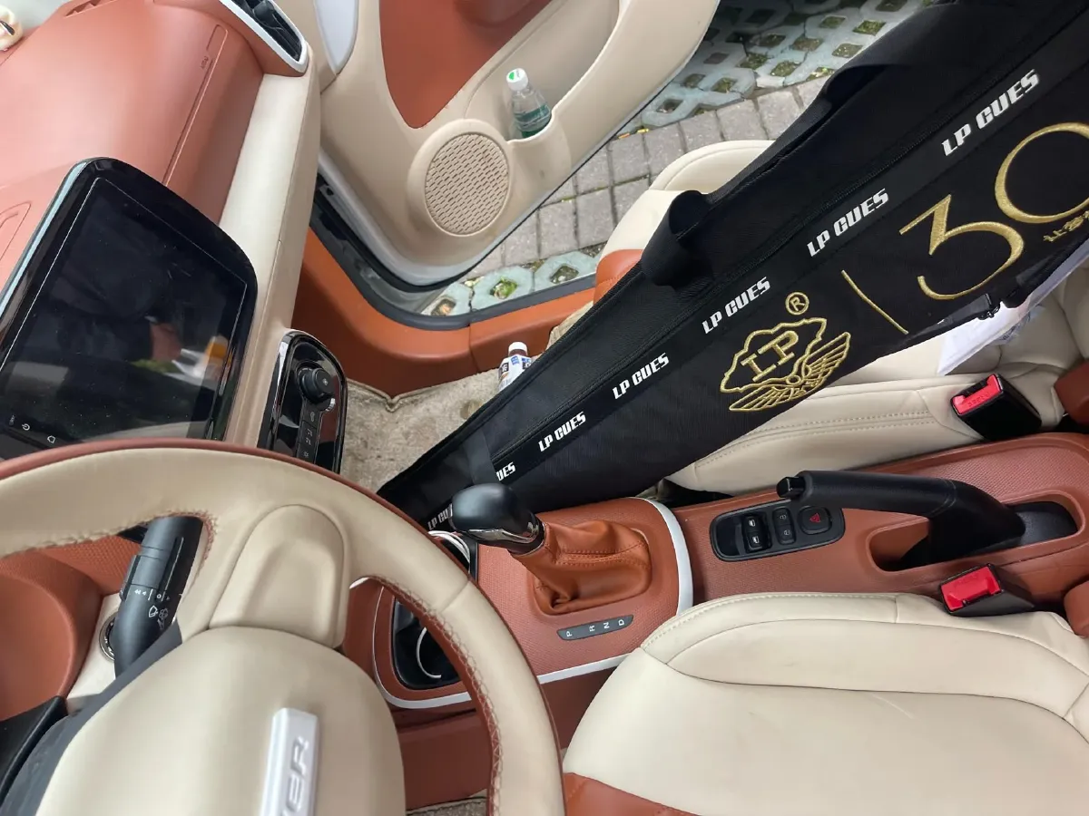 2022 Roewe Clever BEV 29KWH,autocango,china used car exporter,china ev exporter,chinese used car exporter,chinese used ev exporter