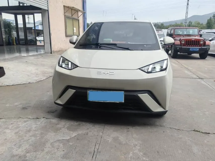 2024 BYD Seagull BEV 30.08KWH,autocango,china used car exporter,china ev exporter,chinese used car exporter,chinese used ev exporter