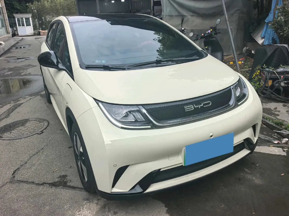 2023 BYD Dolphin BEV 44.928KWH,autocango,china used car exporter,china ev exporter,chinese used car exporter,chinese used ev exporter