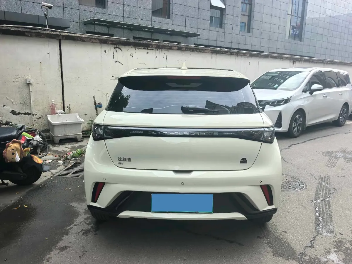 2023 BYD Dolphin BEV 44.928KWH,autocango,china used car exporter,china ev exporter,chinese used car exporter,chinese used ev exporter