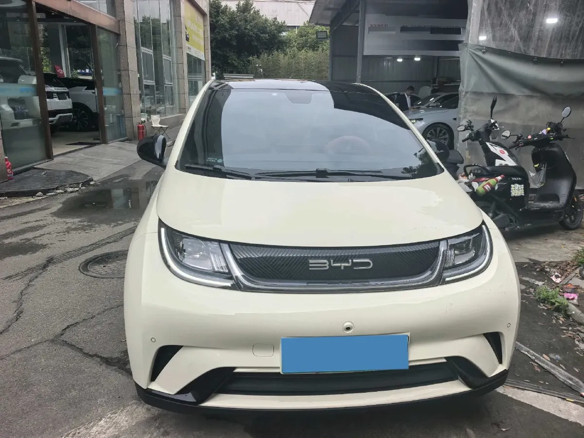 2023 BYD Dolphin BEV 44.928KWH,autocango,china used car exporter,china ev exporter,chinese used car exporter,chinese used ev exporter