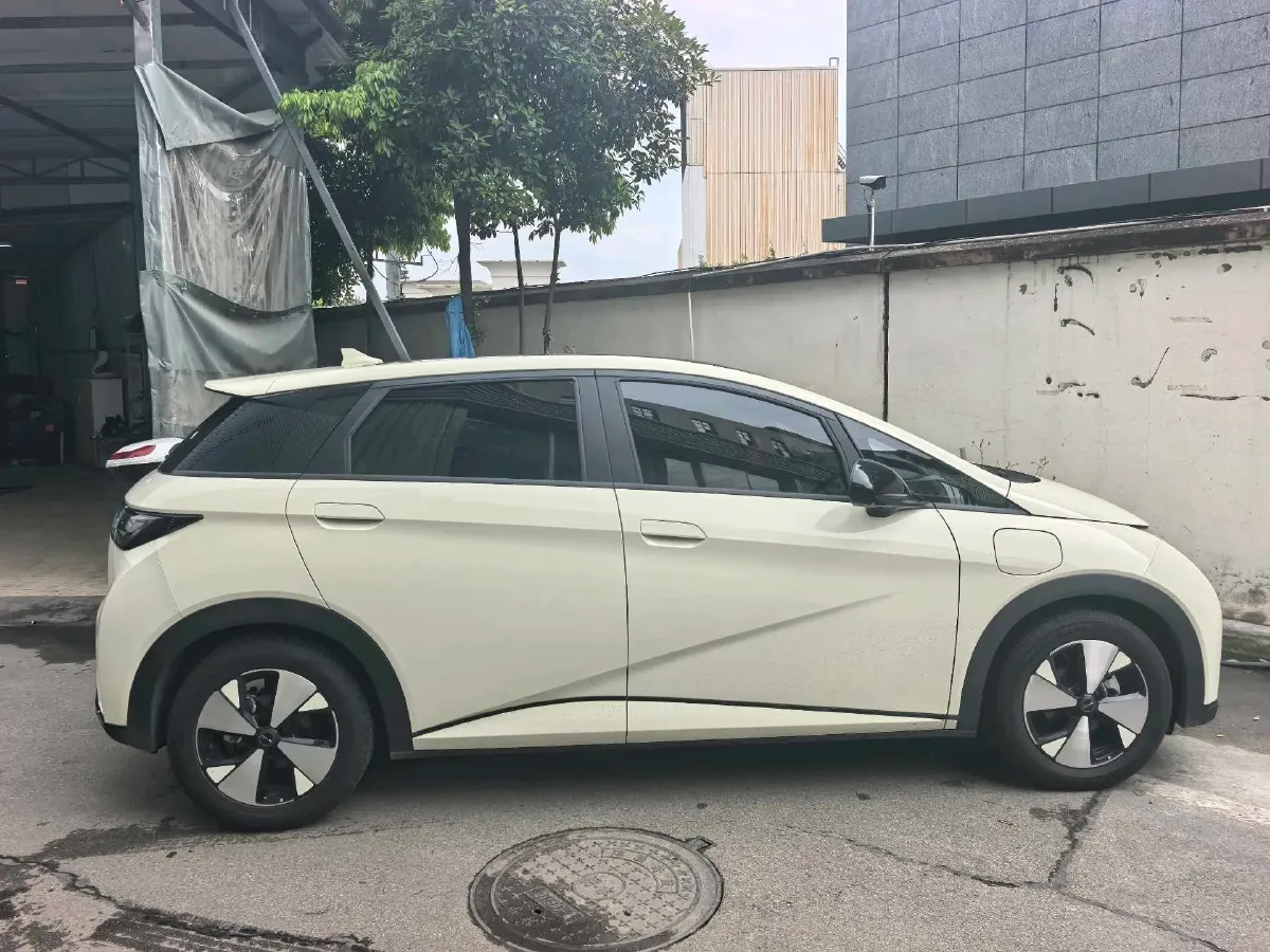 2023 BYD Dolphin BEV 44.928KWH,autocango,china used car exporter,china ev exporter,chinese used car exporter,chinese used ev exporter