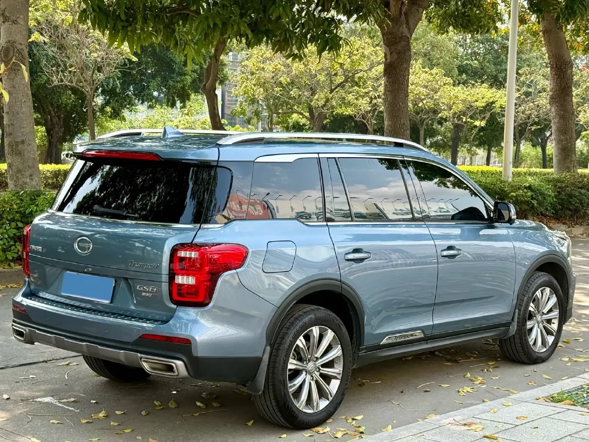 2020 GAC Trumpchi GS8 2.0T 252HP L4 6AT,autocango,china used car exporter,china ev exporter,chinese used car exporter,chinese used ev exporter