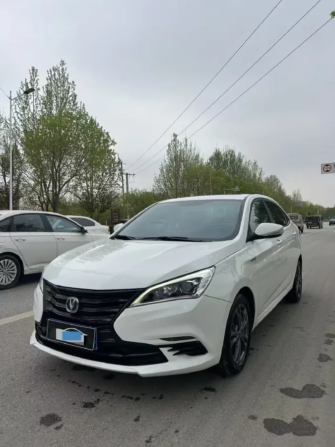 2021 ChangAn Eado DT 1.6L 125HP L4 4AT,autocango,china used car exporter,china ev exporter,chinese used car exporter,chinese used ev exporter